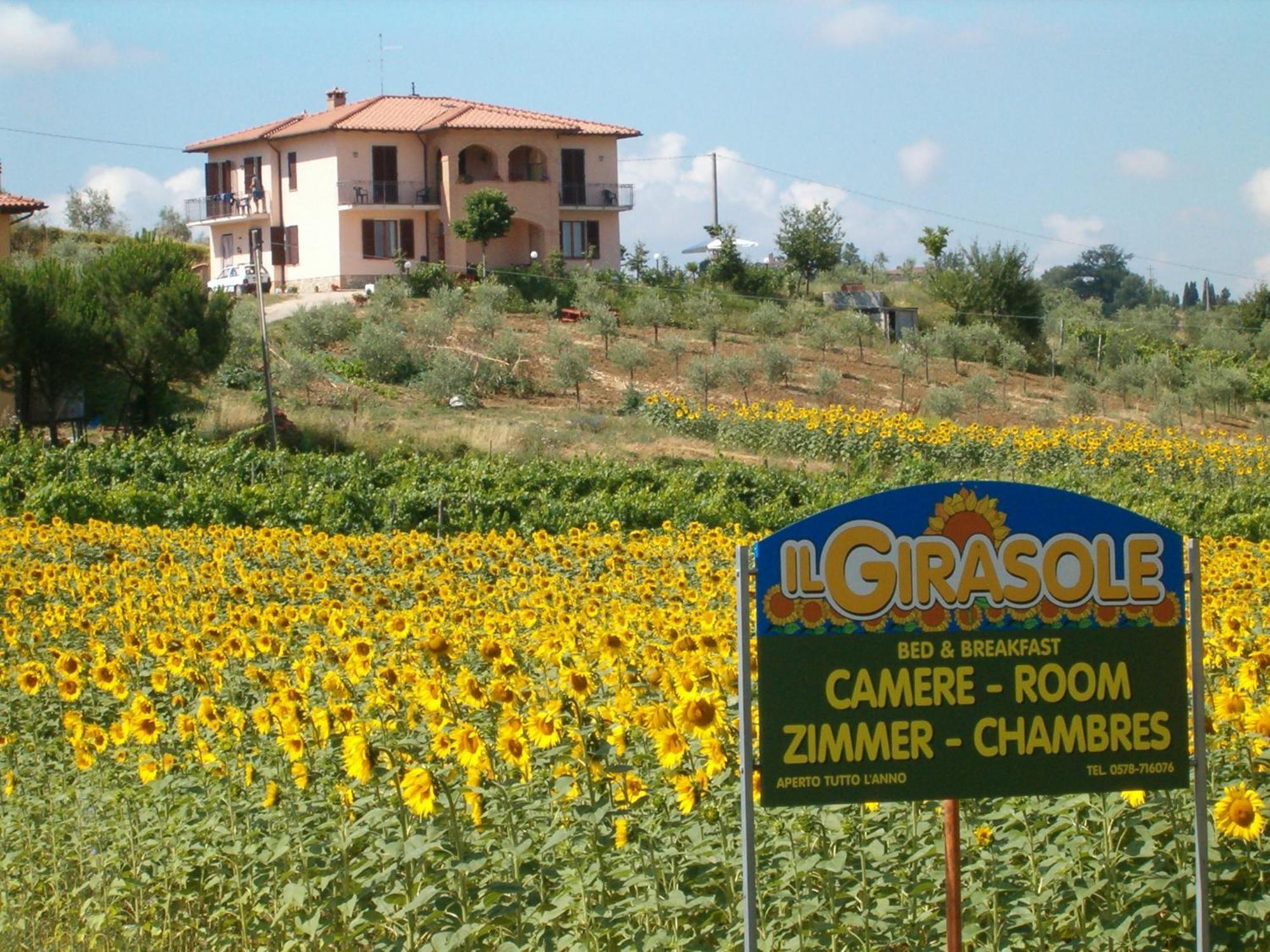 B&B Il Girasole - Rooms & House In Country - 1500 Meters From The City Montepulciano Stazione Exterior foto