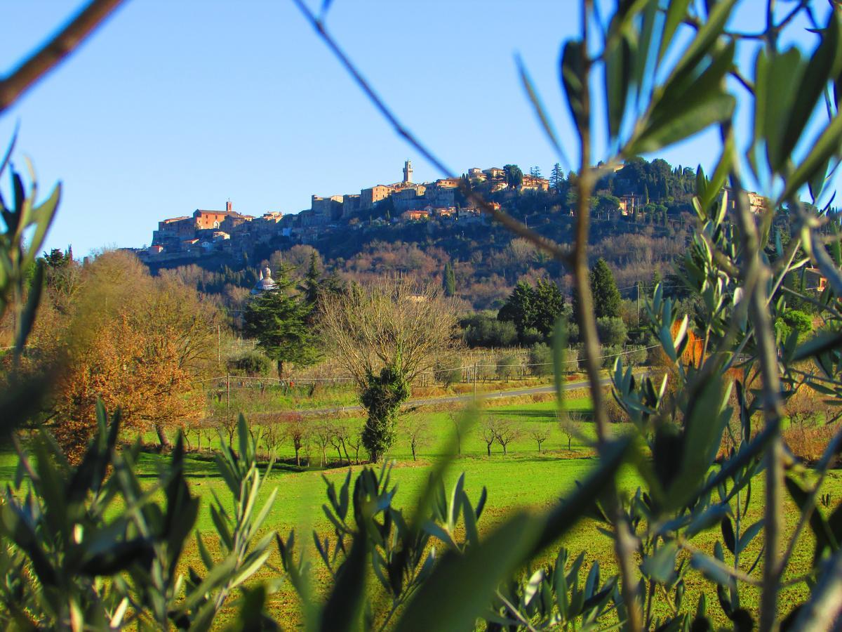 B&B Il Girasole - Rooms & House In Country - 1500 Meters From The City Montepulciano Stazione Exterior foto
